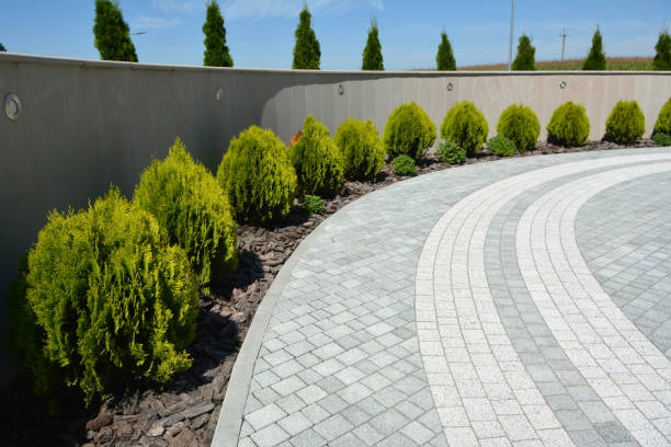 Reasons to Select Us for Your Driveway Paving Requirements in Crosbyton, TX
